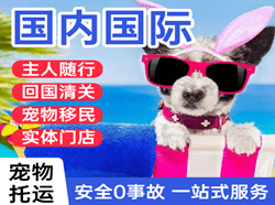 阿拉善左旗巴彦浩特国际宠物托运 【国